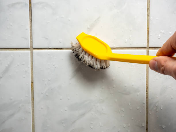 Best Mold Removal and Inspection  in Dollar Bay, MI