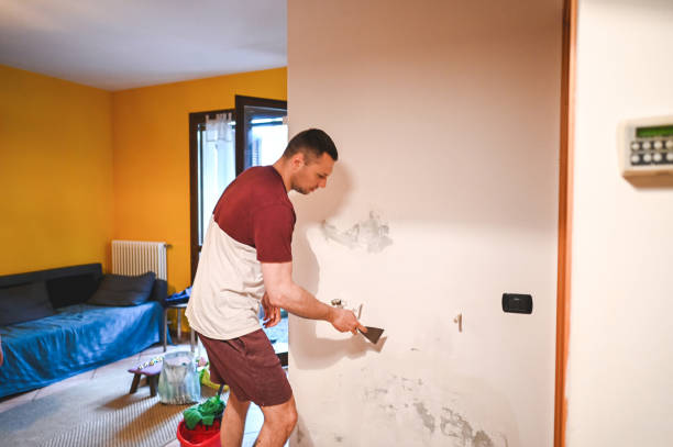 Best Mold Remediation Experts  in Dollar Bay, MI